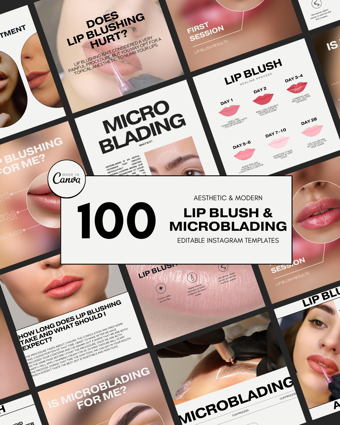 100 EDUCATIONAL LIP BLUSH & MICROBLADING IG TEMPLATES