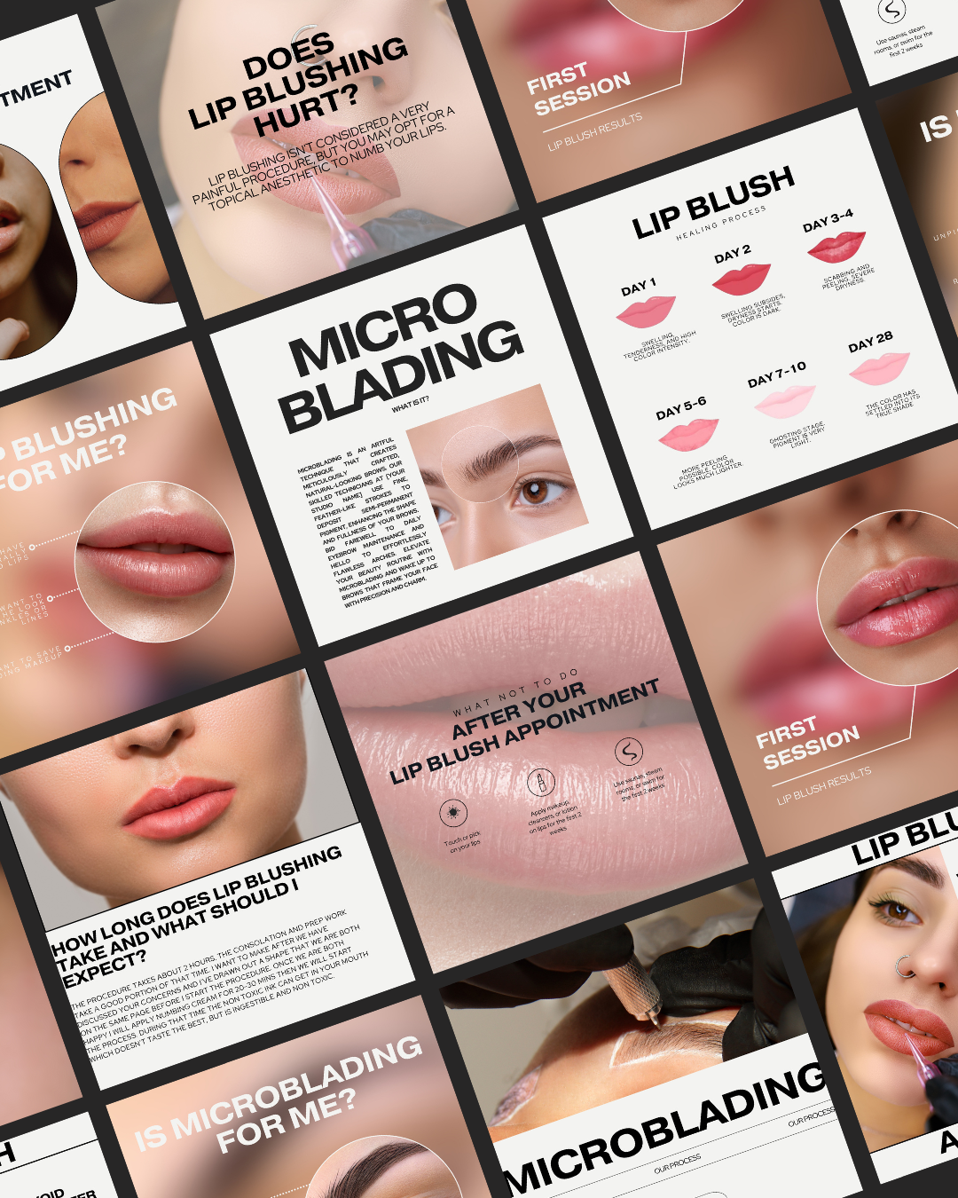 100 EDUCATIONAL LIP BLUSH & MICROBLADING IG TEMPLATES